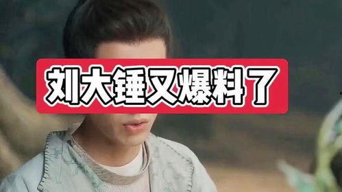 爆料娱乐圈刘大锤的小说,刘大锤揭秘幕后真相